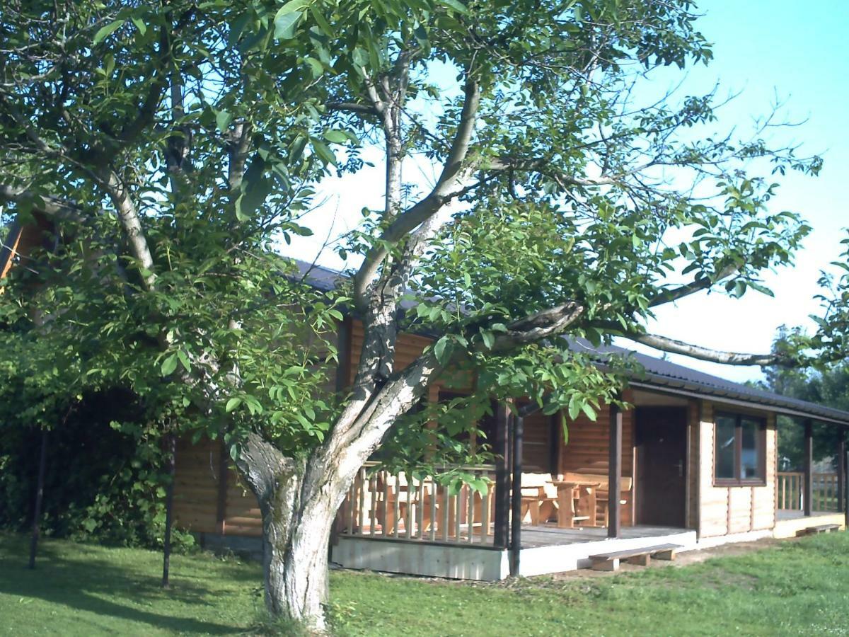 Pod Orzechem Villa Sanok Exterior foto
